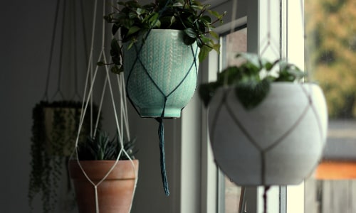 Plant Hangers